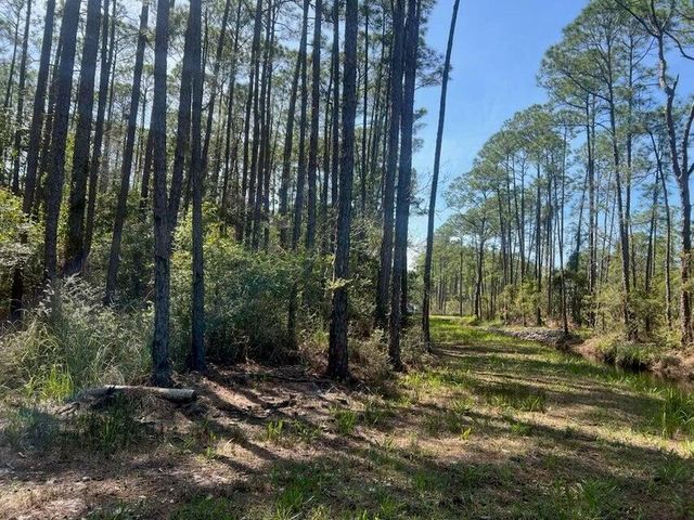 Lot 4 Whisper Lane, Santa Rosa Beach, FL 32459