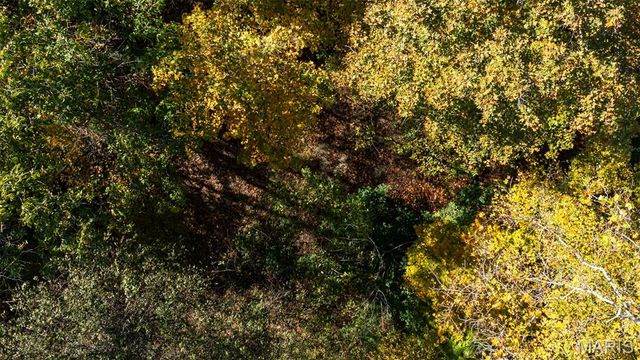 000 Pebble Creek Drive, Elsberry, MO 63343