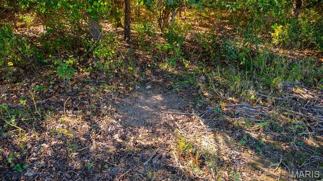 000 Pebble Creek Drive, Elsberry, MO 63343