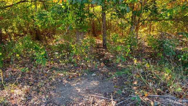 000 Pebble Creek Drive, Elsberry, MO 63343