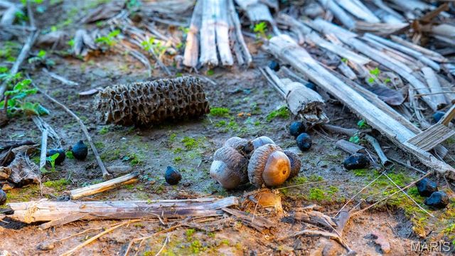 000 Pebble Creek Drive, Elsberry, MO 63343