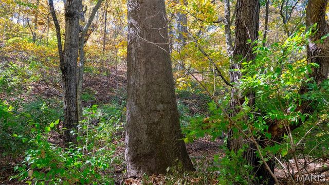 000 Pebble Creek Drive, Elsberry, MO 63343