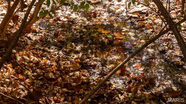 000 Pebble Creek Drive, Elsberry, MO 63343