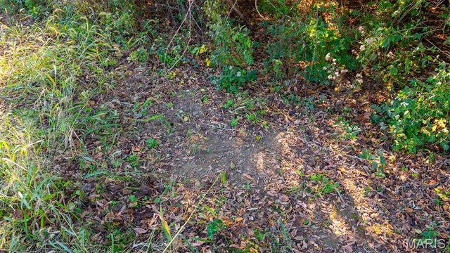 000 Pebble Creek Drive, Elsberry, MO 63343