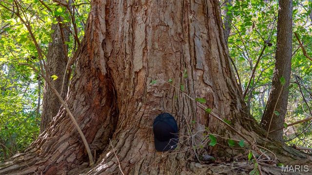 000 Pebble Creek Drive, Elsberry, MO 63343