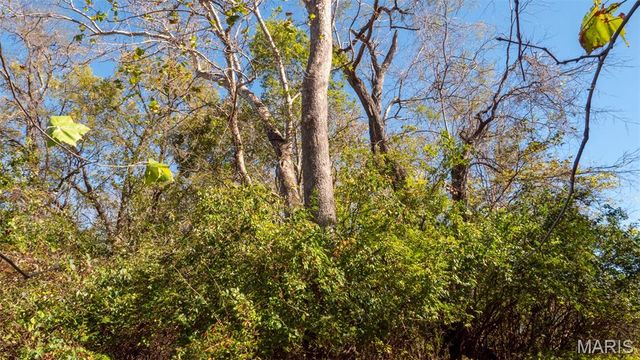 000 Pebble Creek Drive, Elsberry, MO 63343