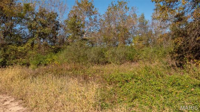 000 Pebble Creek Drive, Elsberry, MO 63343