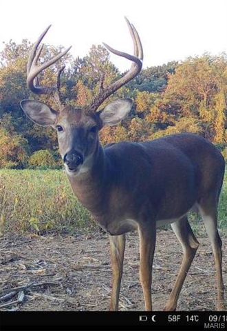 000 Pebble Creek Drive, Elsberry, MO 63343