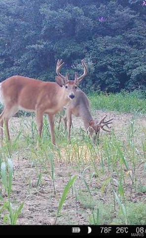 000 Pebble Creek Drive, Elsberry, MO 63343