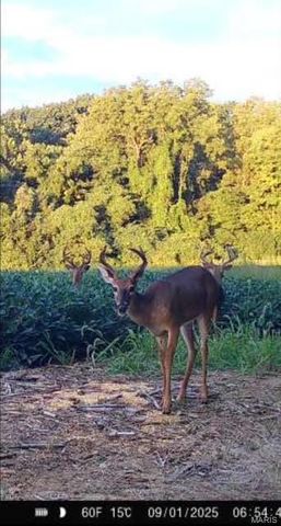 000 Pebble Creek Drive, Elsberry, MO 63343