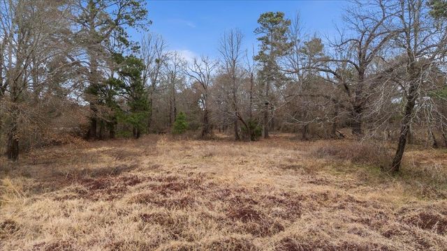 17581 County Road 4307, Larue, TX 75770
