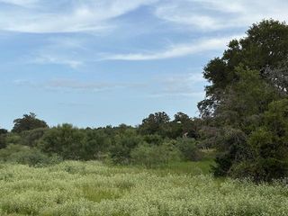TBD Willis LN, Smithville, TX 78957