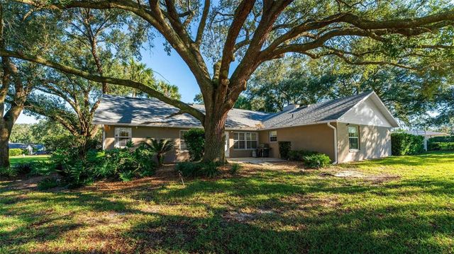 3064 WINDHAM DRIVE, Eustis, FL 32726