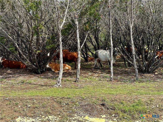 285 Donnie Drive, Lampasas, TX 76550