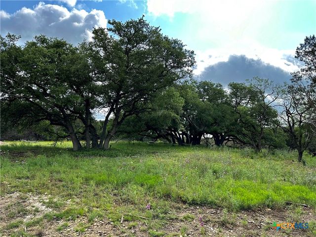 285 Donnie Drive, Lampasas, TX 76550