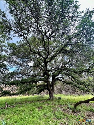 285 Donnie Drive, Lampasas, TX 76550