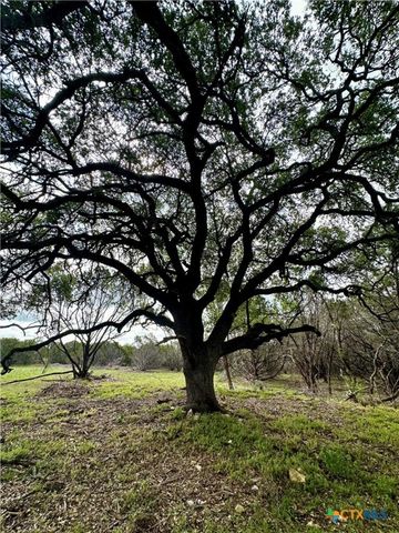 285 Donnie Drive, Lampasas, TX 76550