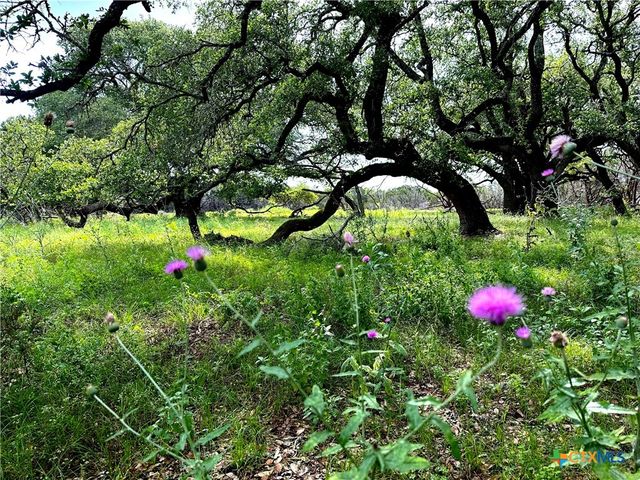 285 Donnie Drive, Lampasas, TX 76550