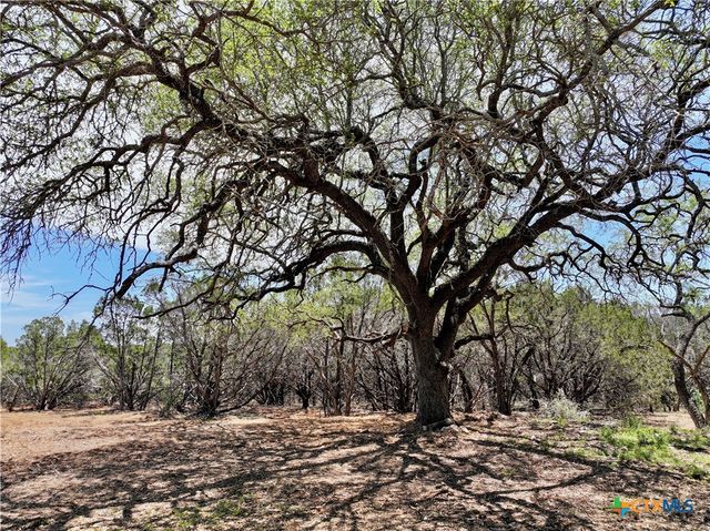 285 Donnie Drive, Lampasas, TX 76550