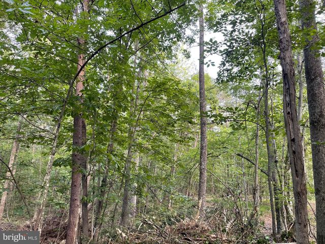 17464 EXECUTIVE LN, Culpeper, VA 22701