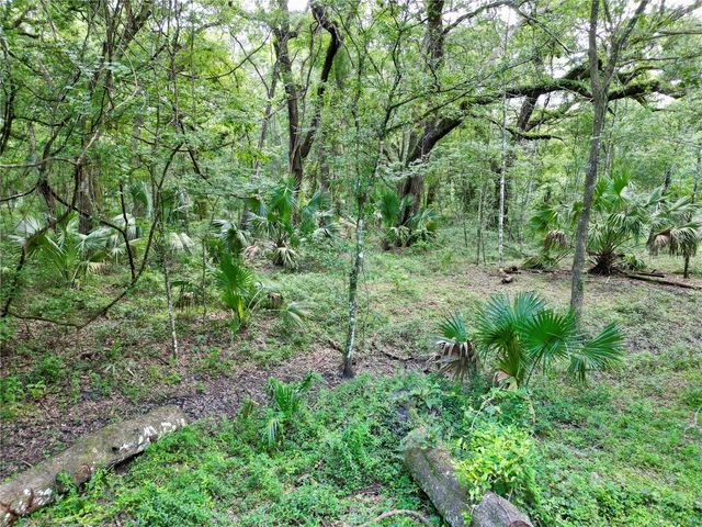 TBD SW 31ST WAY WAY, Webster, FL 33597