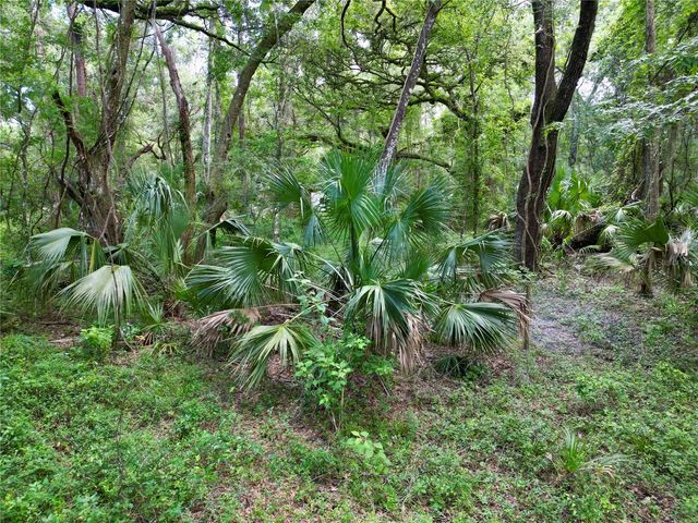 TBD SW 31ST WAY WAY, Webster, FL 33597