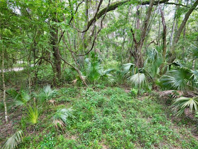 TBD SW 31ST WAY WAY, Webster, FL 33597