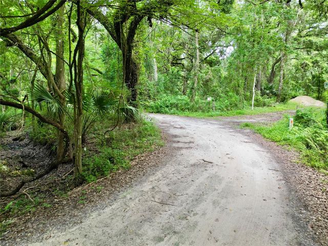 TBD SW 31ST WAY WAY, Webster, FL 33597