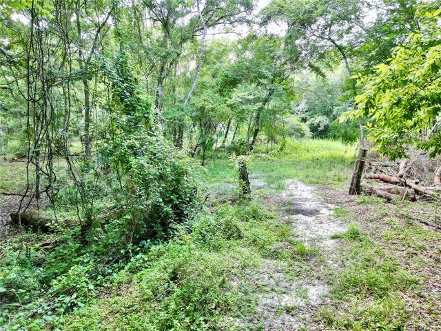 TBD SW 31ST WAY WAY, Webster, FL 33597
