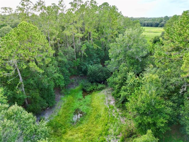 TBD SW 31ST WAY WAY, Webster, FL 33597