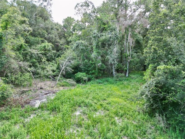 TBD SW 31ST WAY WAY, Webster, FL 33597