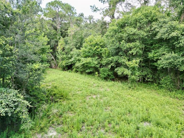 TBD SW 31ST WAY WAY, Webster, FL 33597
