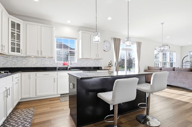 12404 S Blue Water Parkway, Plainfield, IL 60585