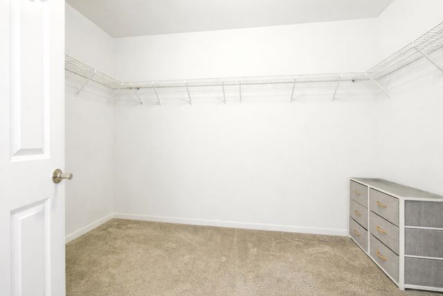 12404 S Blue Water Parkway, Plainfield, IL 60585