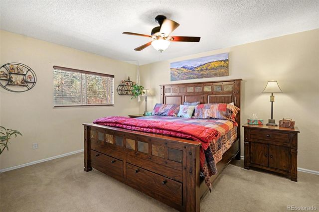 11528 Hot Springs Drive, Parker, CO 80138