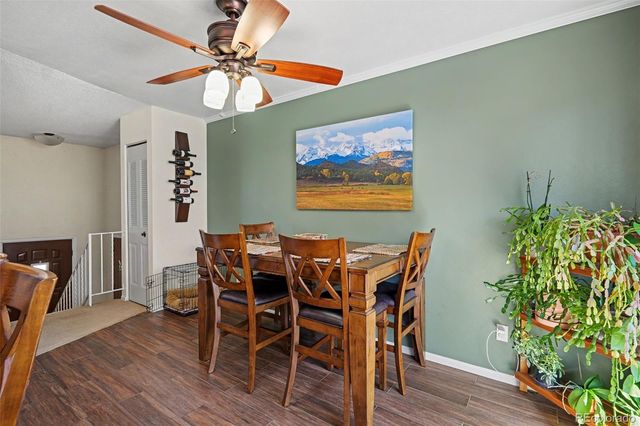 11528 Hot Springs Drive, Parker, CO 80138