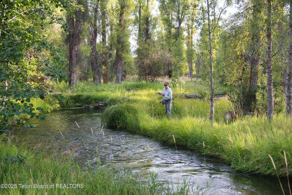 55 S ELY SPRINGS Road, Jackson, WY 83001 photo 11