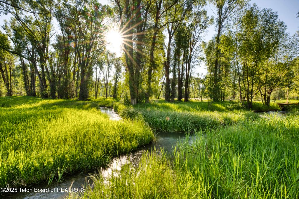 55 S ELY SPRINGS Road, Jackson, WY 83001 photo 5
