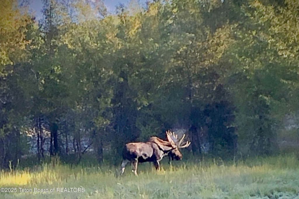 55 S ELY SPRINGS Road, Jackson, WY 83001 photo 64