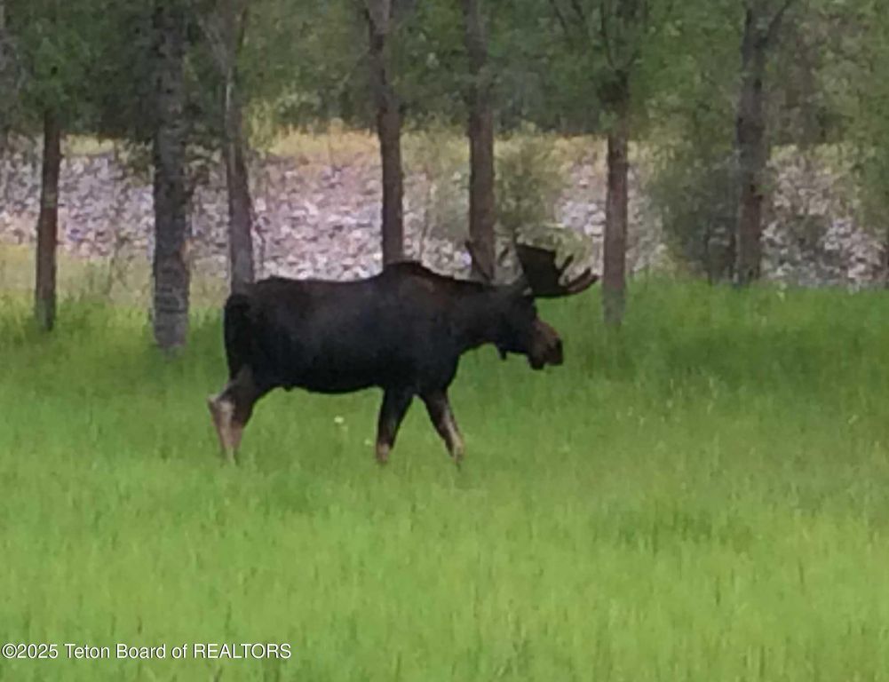 55 S ELY SPRINGS Road, Jackson, WY 83001 photo 65