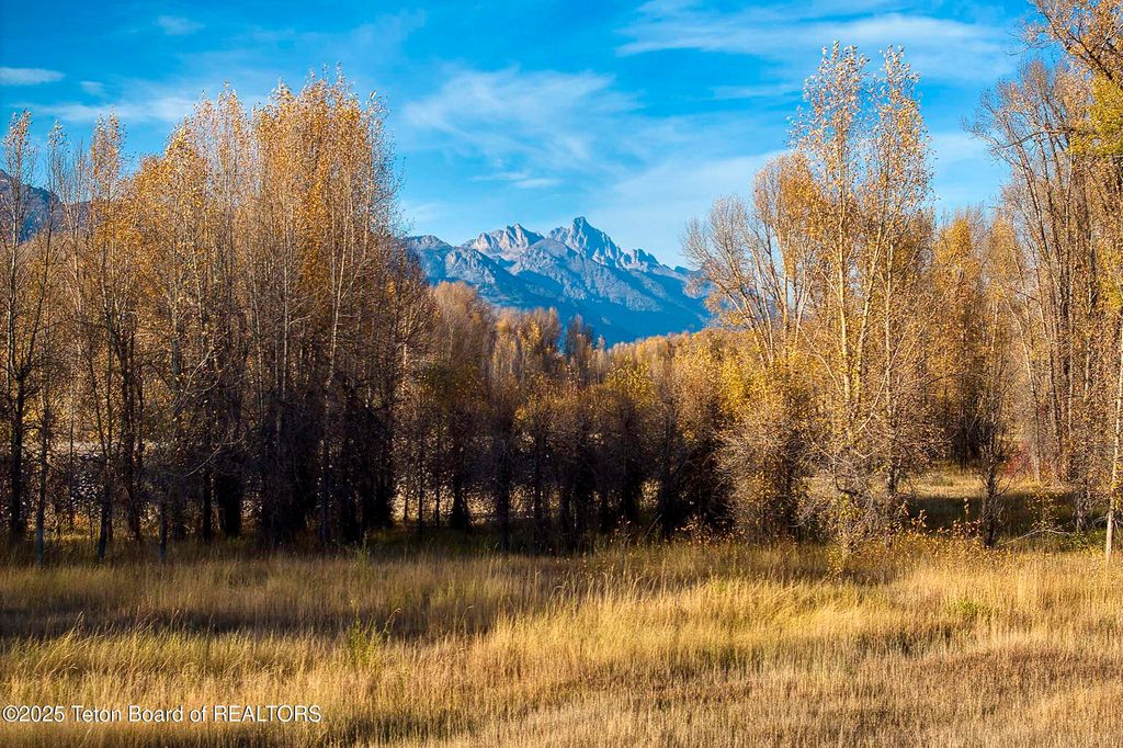 55 S ELY SPRINGS Road, Jackson, WY 83001 photo 68