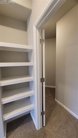 718 Belleza View, Colorado Springs, CO 80907