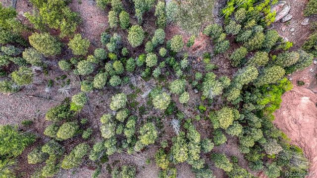 918 Pinon Lane, Florissant, CO 80816