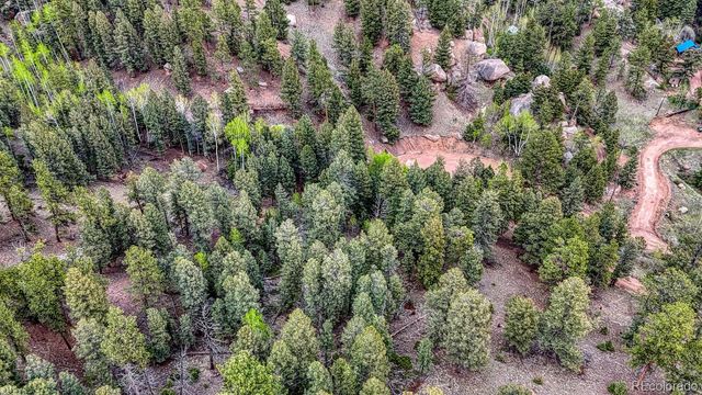 918 Pinon Lane, Florissant, CO 80816