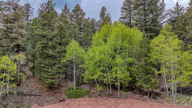 918 Pinon Lane, Florissant, CO 80816