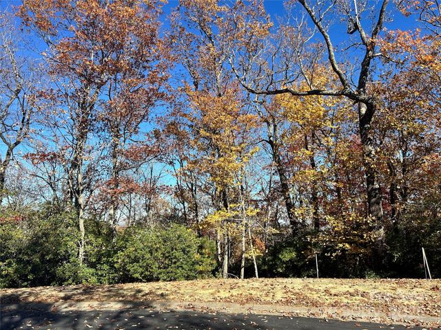 1114 Mills River Way, Horse Shoe, NC 28742