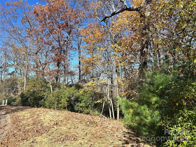 1114 Mills River Way, Horse Shoe, NC 28742