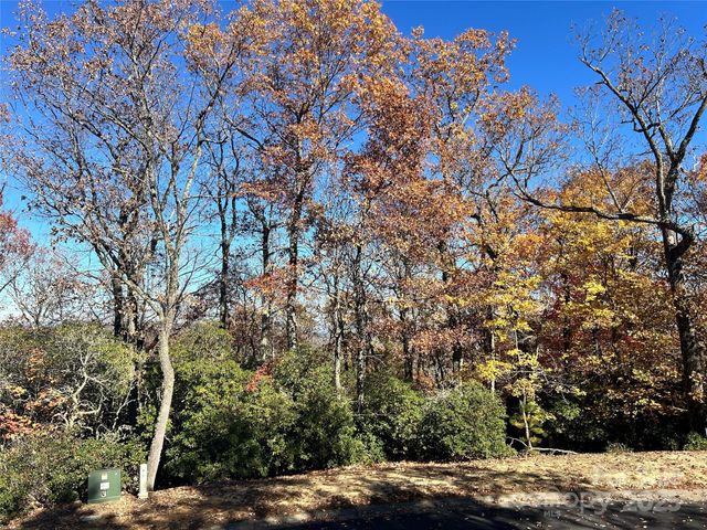 1114 Mills River Way, Horse Shoe, NC 28742