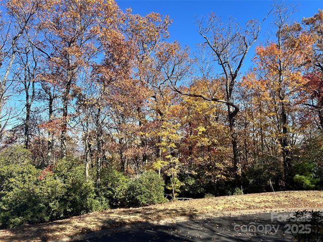 1114 Mills River Way, Horse Shoe, NC 28742