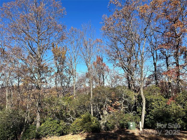 1114 Mills River Way, Horse Shoe, NC 28742